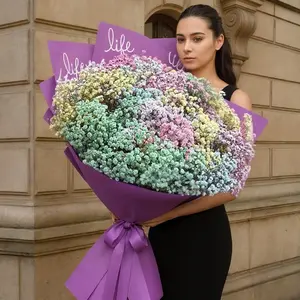 Букет гигант из гипсофилы